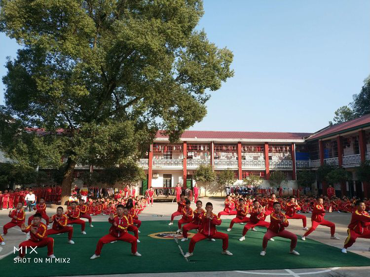 展现校园武术刚柔之美——南岳武术学校武术会操记