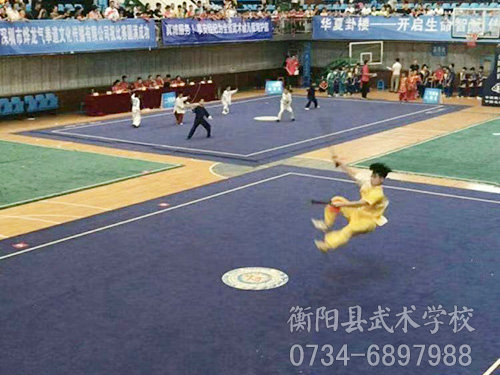 湖南省武术大赛