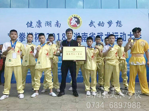 湖南省武术大赛