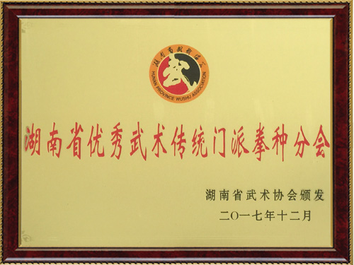 优秀武术传统门派拳种分会