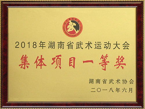 武术运动会一等奖