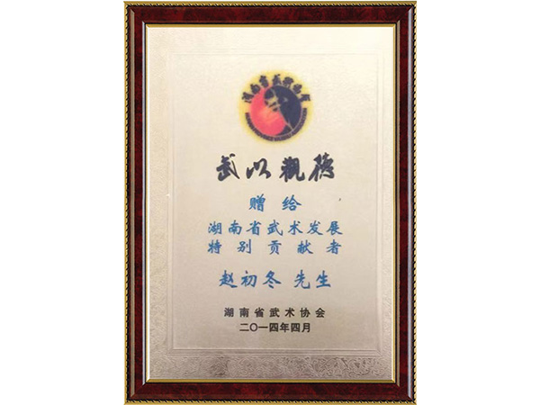 武术发展特别贡献者