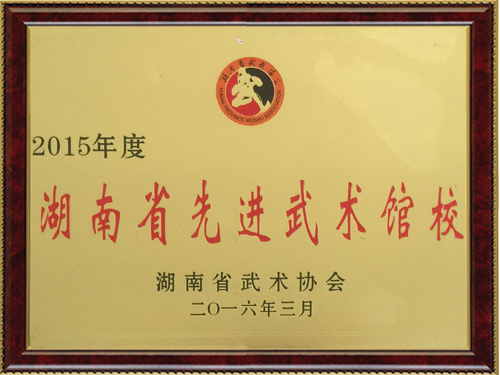 湖南省先进武术馆校