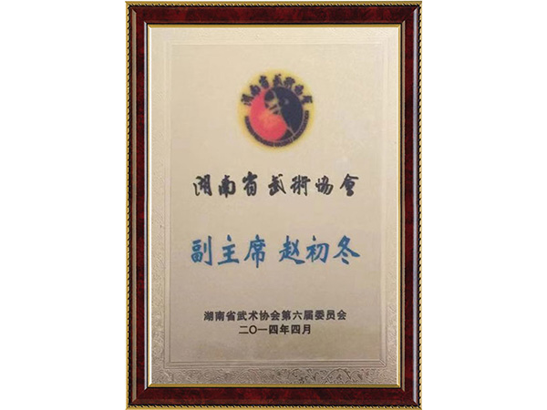 武术协会副主席