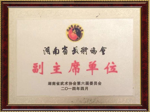 武术协会副主席单位