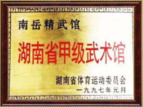 甲级武术馆