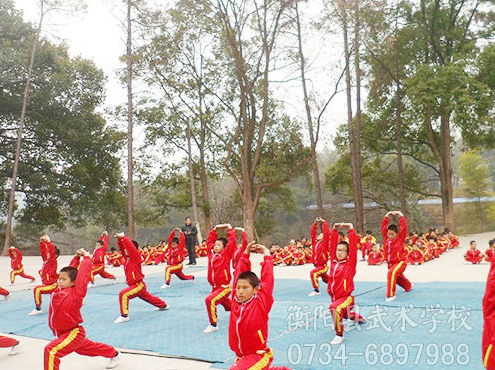 体质差的孩子适合到文武学校学习吗？