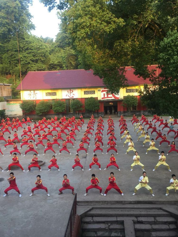 衡阳县南岳武术学校,南岳武术学院,衡阳哪里可以学武术,武术学校