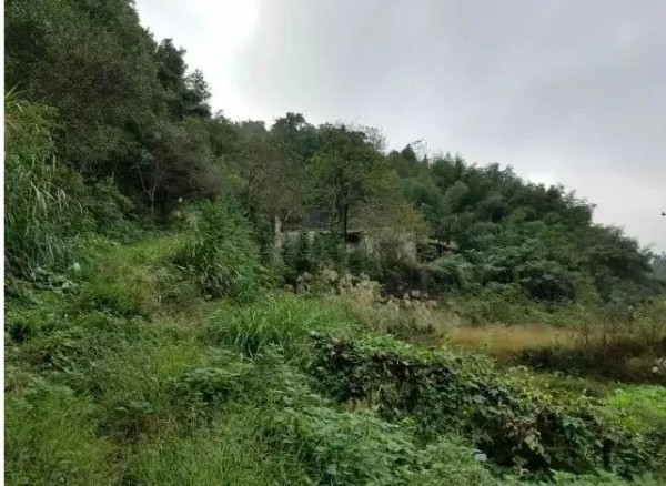 文武学校,全封闭学校,武术学校