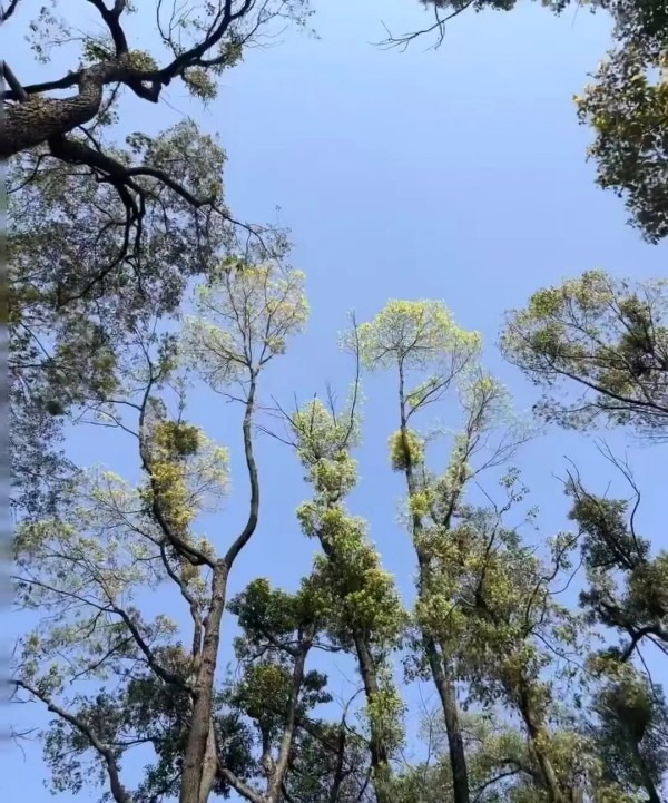 文武学校,全封闭学校,武术学校